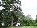 2014_06_Scotland_Day_15_Inchmahome (15)